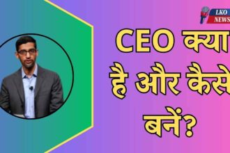 CEO kya hai in hindi