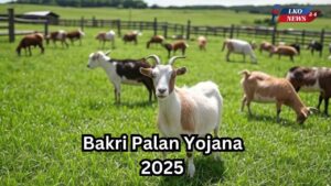 Bakri Palan Yojana 2025