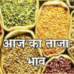 Mandi Bhav Rate 16 February 2025