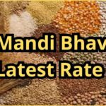 Mandi Bhav Rate 26 February 2025