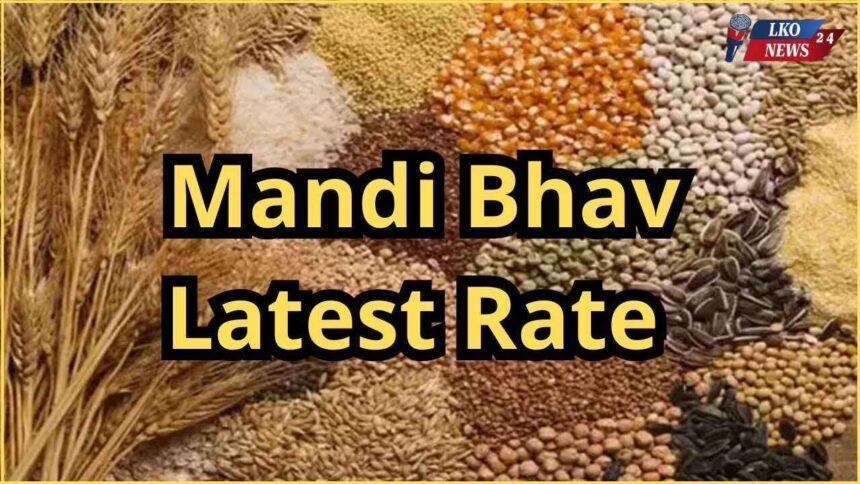 Mandi Bhav Rate 26 February 2025