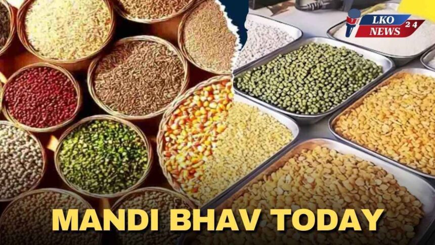 Mandi Bhav Rate 4 February 2025