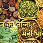 Mandi Bhav Rate 5 February 2025