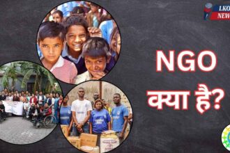 NGO kya hai