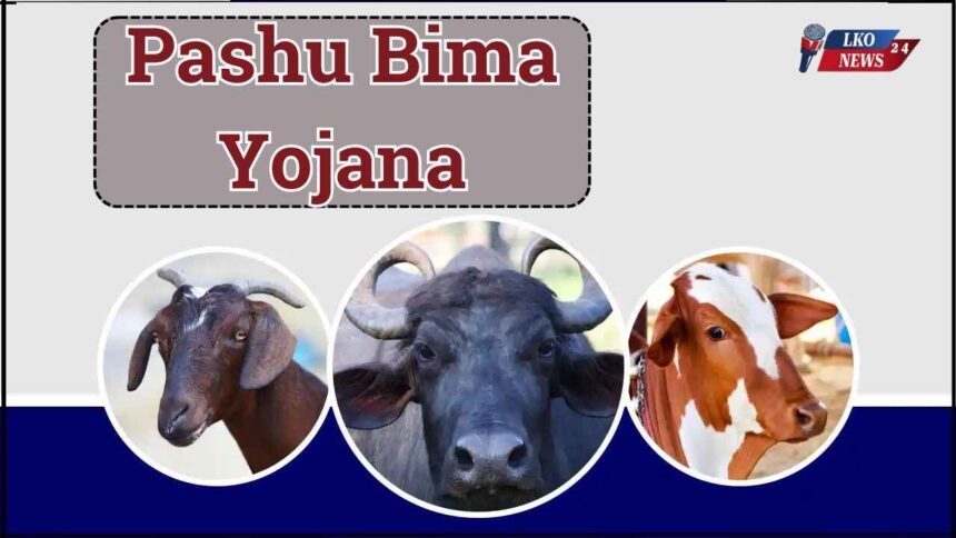 Pashu Bima Yojana