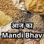 Mandi Bhav 9 March 2025