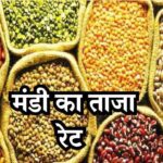 Mandi Bhav Rate 1 March 2025