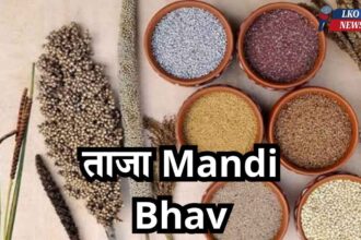 Mandi Bhav Rate 13 March 2025