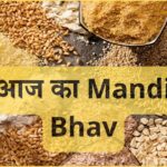 Mandi Bhav Rate 15 March 2025