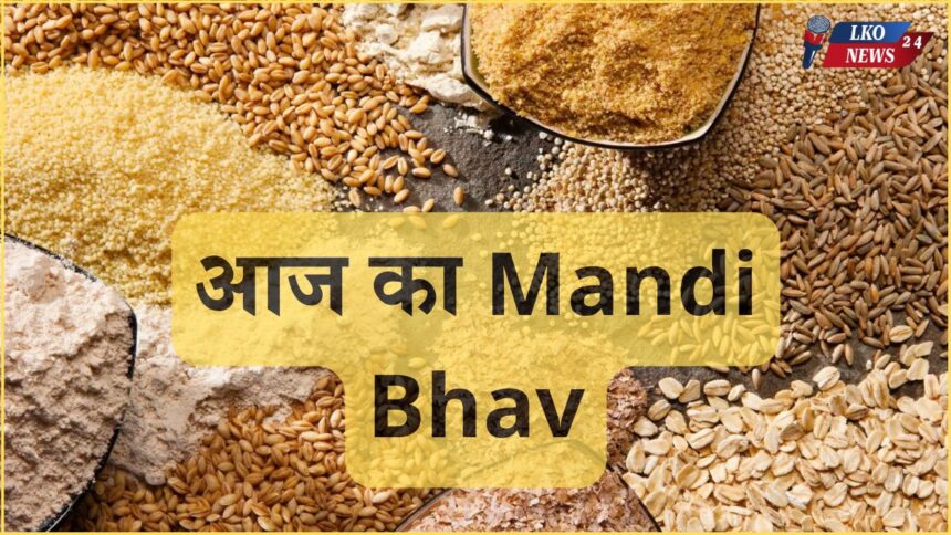 Mandi Bhav Rate 15 March 2025